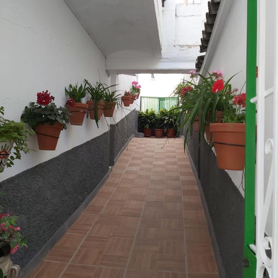 Vivienda Rural Rio Cerezuelo Pension Cazorla Buitenkant foto